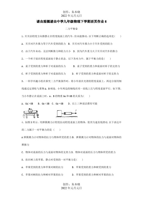 九年级物理下学期活页作业6  试题