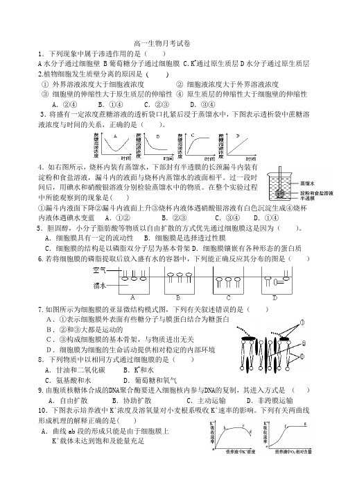 必修一高中生物综合试卷(带答案)