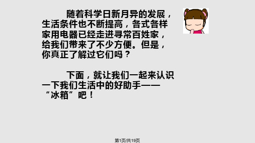 冰箱的调查研究总结PPT课件