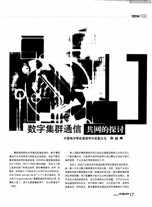 数字集群通信共网的探讨
