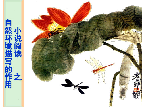 高三复习小说环境描写的作用.ppt