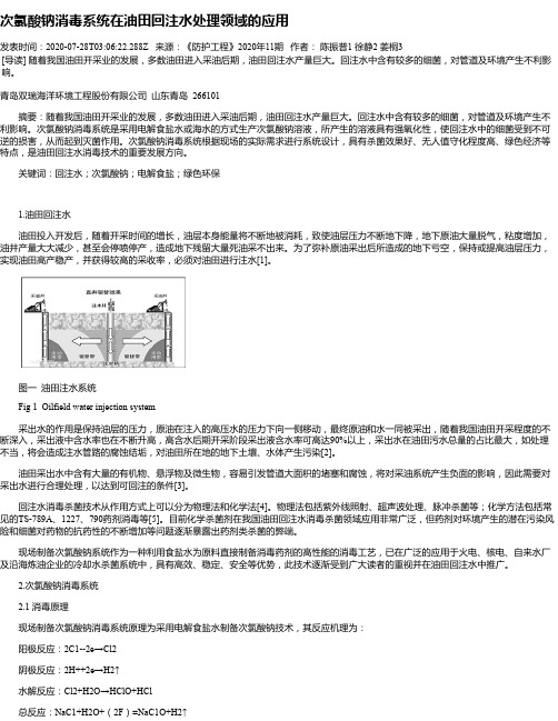 次氯酸钠消毒系统在油田回注水处理领域的应用