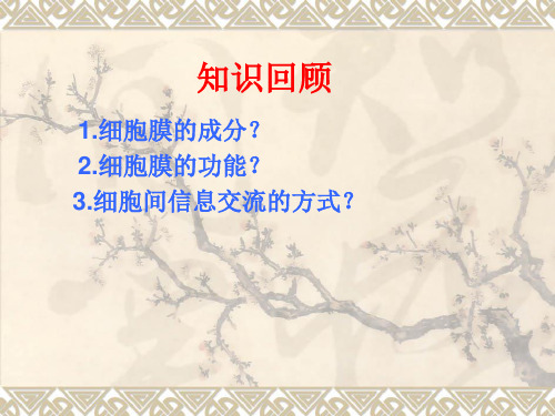 3.3 细胞核—系统的控制中心 课件 人教版高中生物必修一