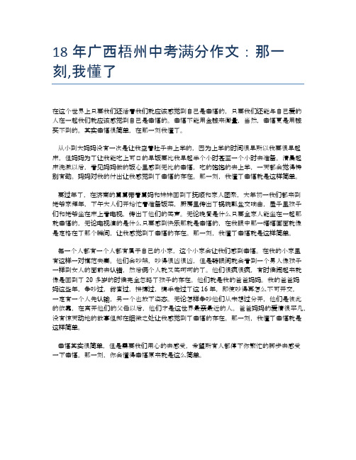 18年广西梧州中考满分作文：那一刻,我懂了