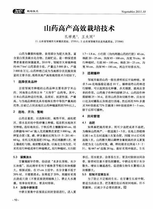 山药高产高效栽培技术