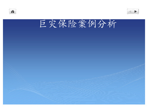 巨灾保险案例分析