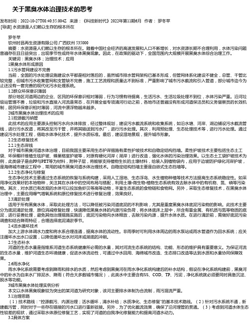 关于黑臭水体治理技术的思考