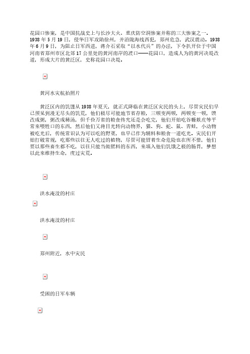 【VIP专享】38年花园口决堤后惨状