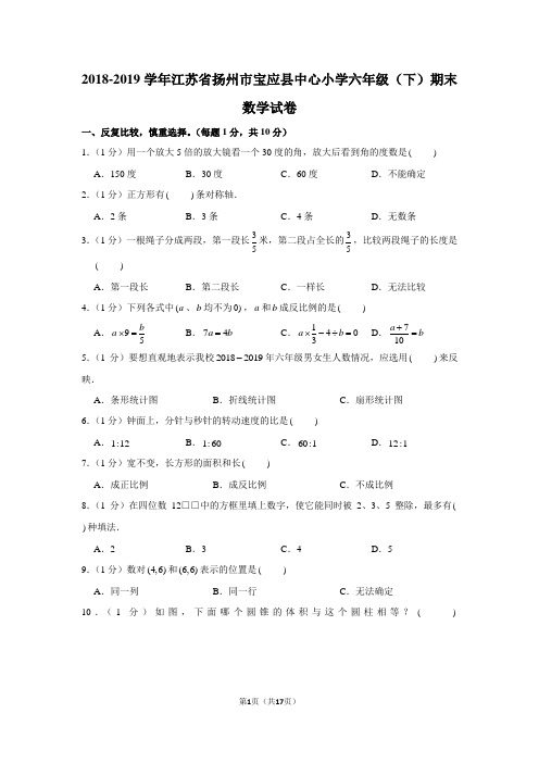 (苏教新版)2018-2019学年江苏省扬州市宝应县中心小学六年级(下)期末数学试卷