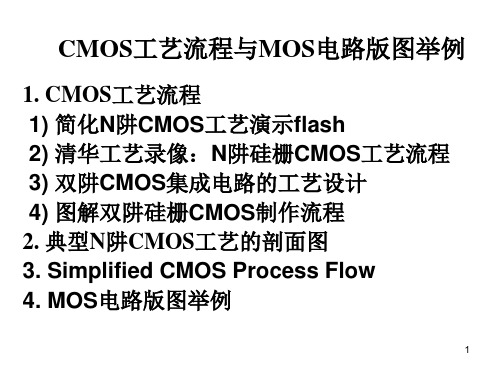 CMOS工艺流程.版图.剖面PPT幻灯片课件