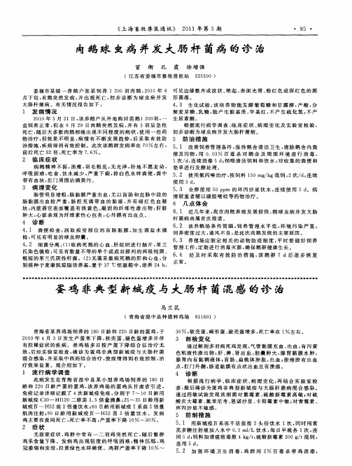 蛋鸡非典型新城疫与大肠杆菌混感的诊治