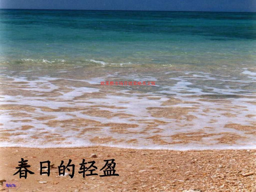 欧莱雅市场营销策略英文版