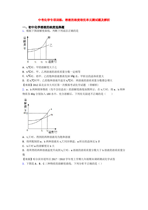 中考化学专项训练：溶液的浓度培优单元测试题及解析