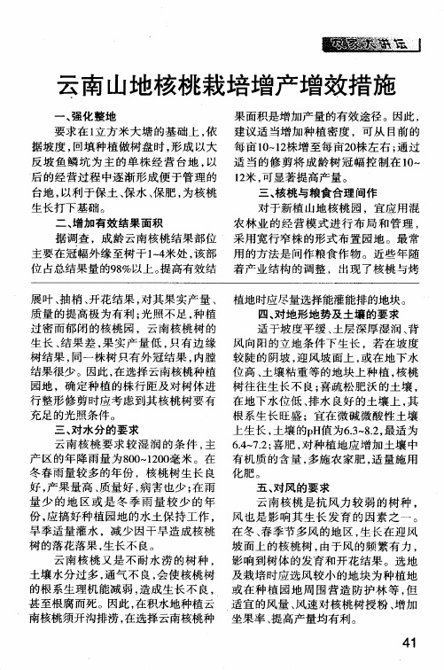 云南山地核桃栽培增产增效措施