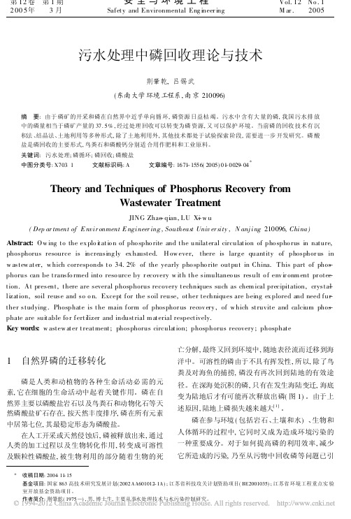 污水处理中磷回收理论与技术_荆肇乾