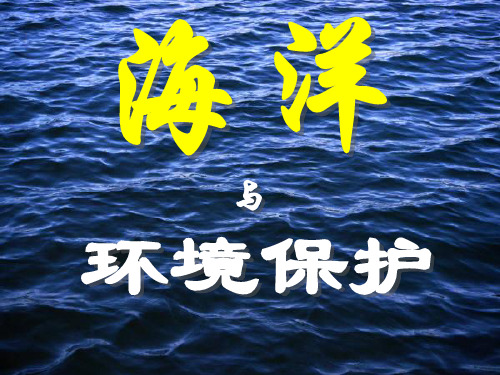 海洋与环境保护ppt模板