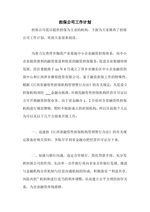 担保公司工作计划
