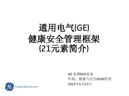 GE健康安全框架_21元素介绍