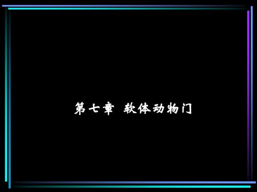 软体动物门