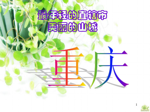 重庆文化特色ppt课件