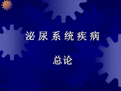 泌尿总论