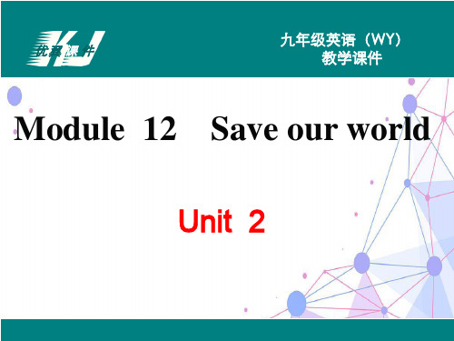 外研版九年级上册英语 M12 U2 教学课件