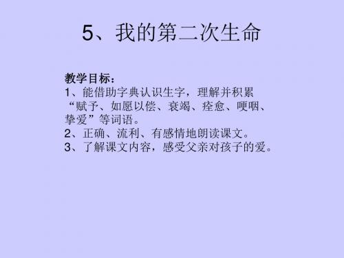 5、我的第二次生命