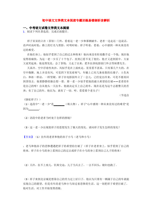 初中语文文学类文本阅读专题训练易错剖析含解析