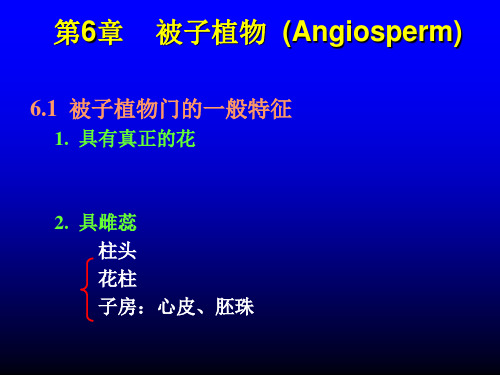 10.1 被子植物 木兰亚纲、金缕梅亚纲