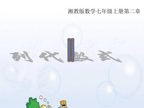 湘教版七年级数学上册《2章 代数式  2.2 列代数式》优课教学设计_2