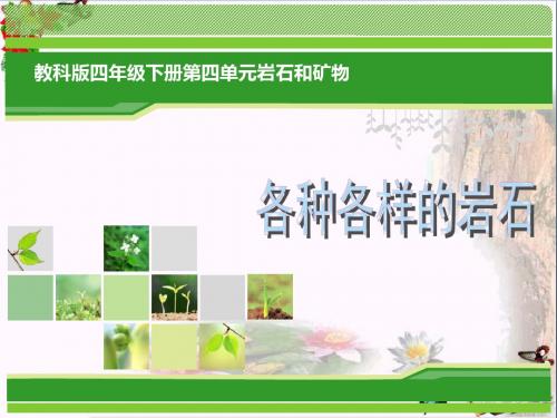 《各种各样的岩石》岩石和矿物 精品课件2(共57张)