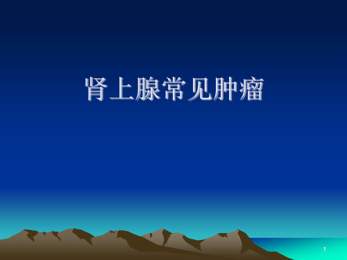 肾上腺常见肿瘤精品课件