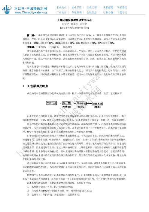 土地渗透处理工艺设计