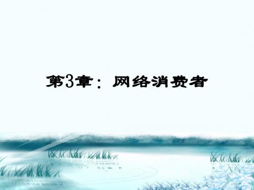 第3章 网络消费者