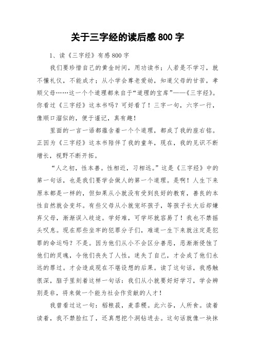 关于三字经的读后感800字_作文