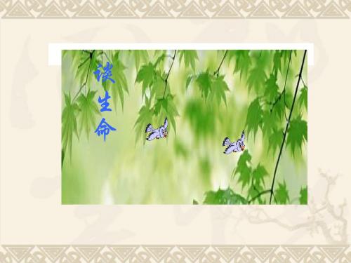 谈生命.ppt