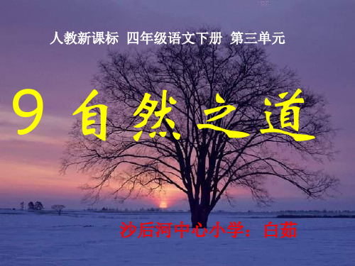 《自然之道》ppt课件