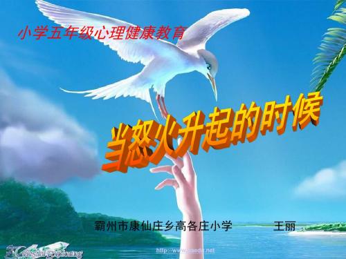 小学生《学会调控情绪放飞好心情》心理健康教育主题班会PPT课件