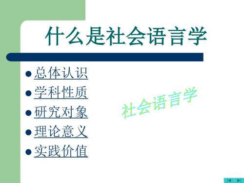 什么是社会语言学