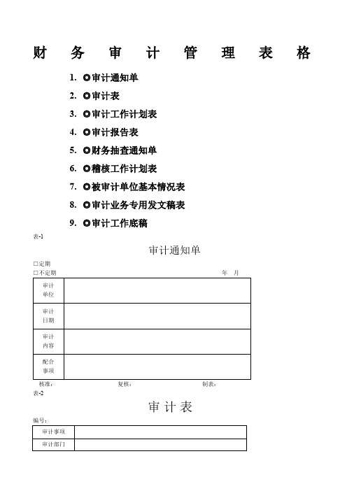 财务审计管理表格个表格