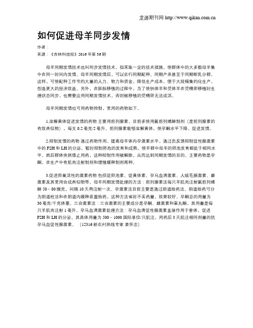 如何促进母羊同步发情