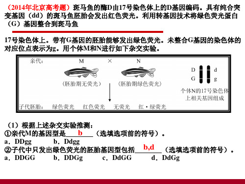 减数分裂与遗传定律