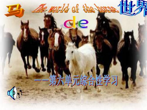 马的世界 综合性学习ppt