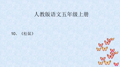 五年级上册语文课件-10 松鼠 _人教新课标 (共35张PPT) 
