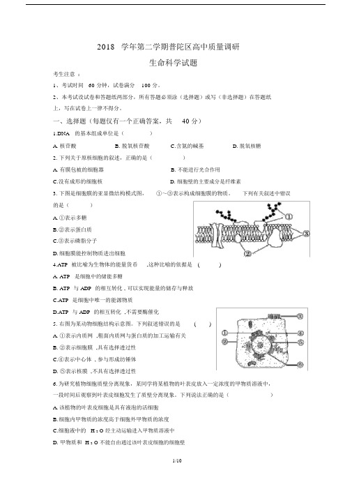 (完整word版)普陀区20xx生物二模考(含答案),推荐文档.doc