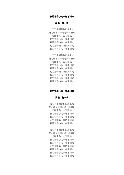 我的青春小鸟一样不回来歌词