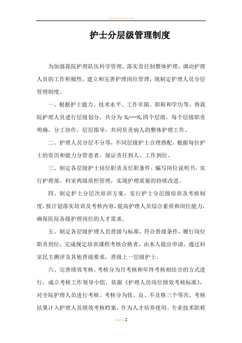 护士分层级管理制度