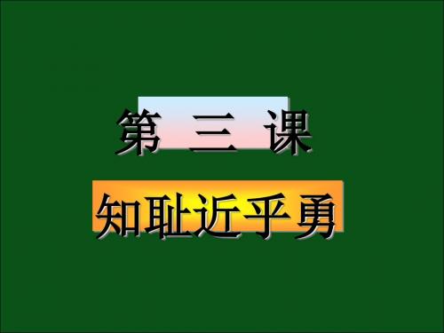 知耻近乎勇ppt优秀课件1 鲁教版