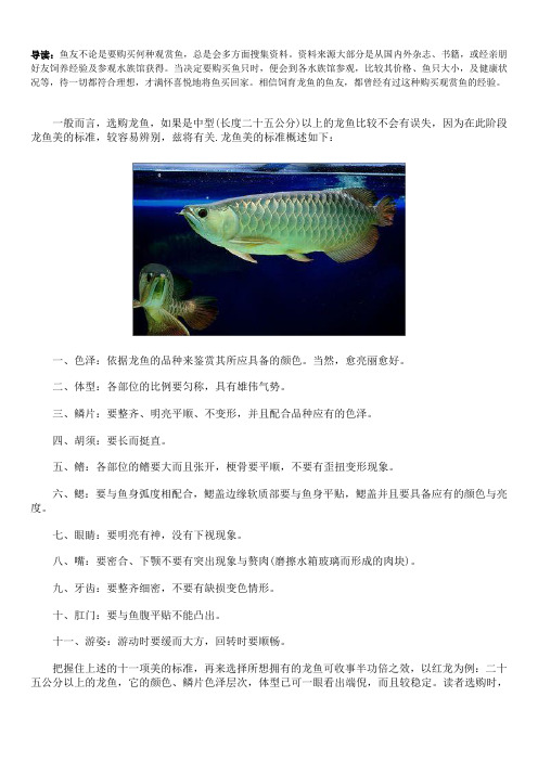 选龙鱼：龙鱼美的标准