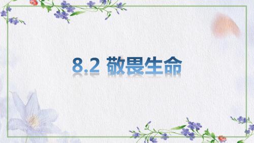 人教版《道德与法治》七年级上册 8.2 敬畏生命 课件(共20张PPT)